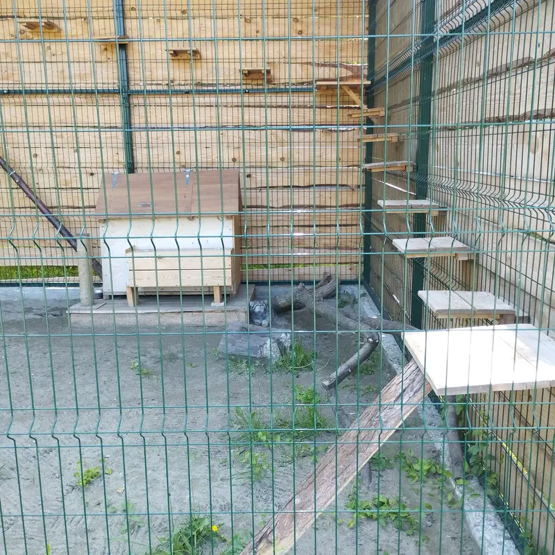 バルナウル動物園「レースナヤ・スカースカ」のチップの写真