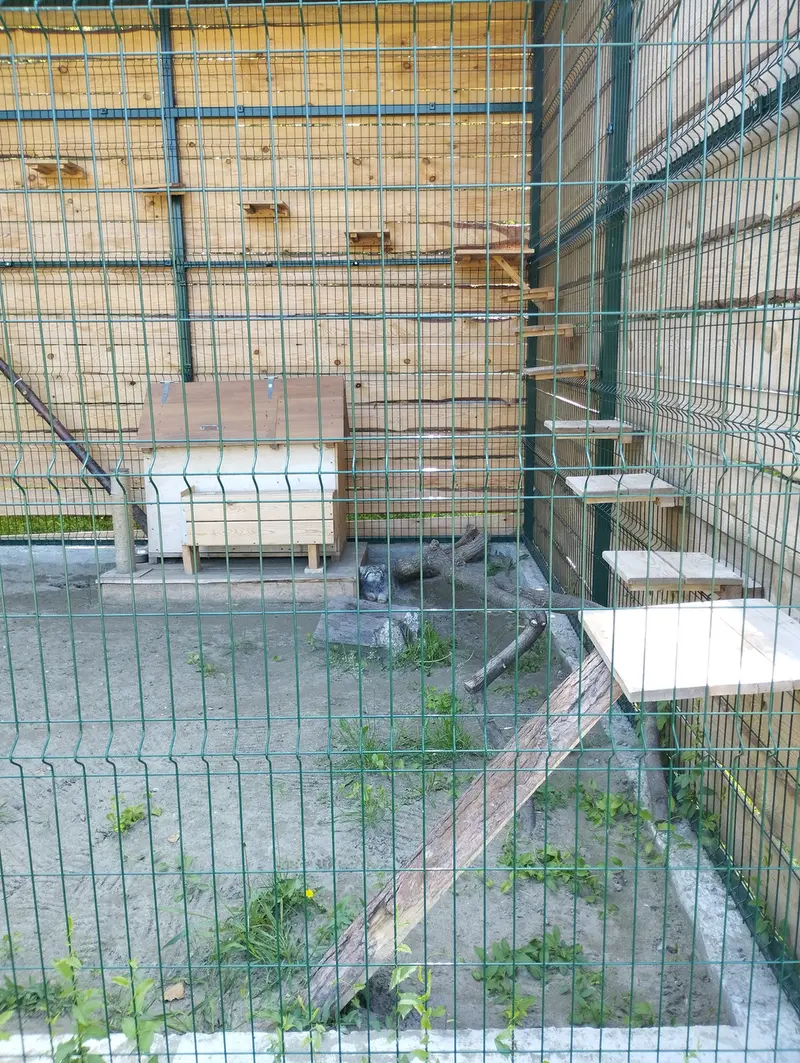 バルナウル動物園「レースナヤ・スカースカ」のチップの写真