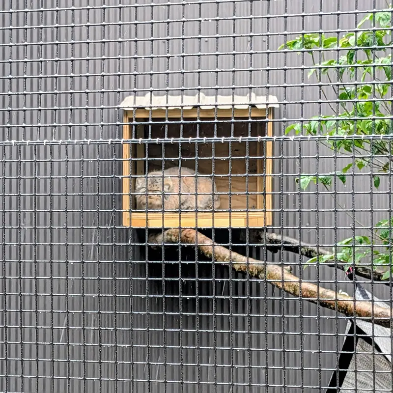 エルムウッド・パーク動物園のレザの写真