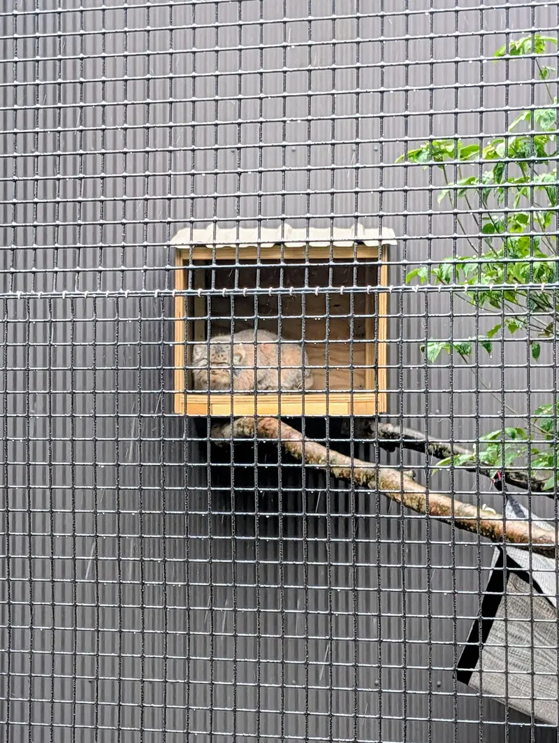 エルムウッド・パーク動物園のレザの写真