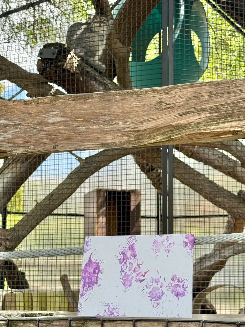 ニアビ動物園のイーヴィーの写真