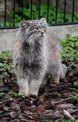 バイオ・トピア・ダンケルクのサランの写真