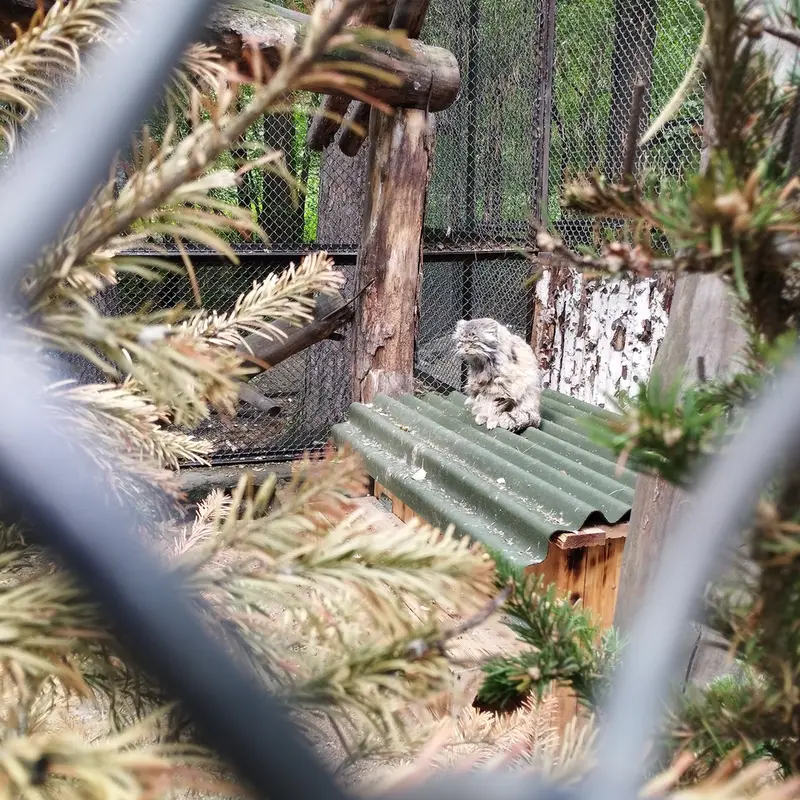 ノヴォシビルスク動物園のゼレノゴルスクの写真