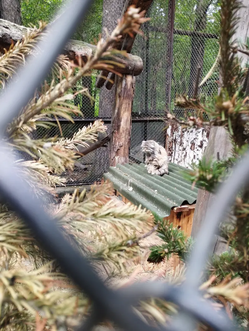 ノヴォシビルスク動物園のゼレノゴルスクの写真