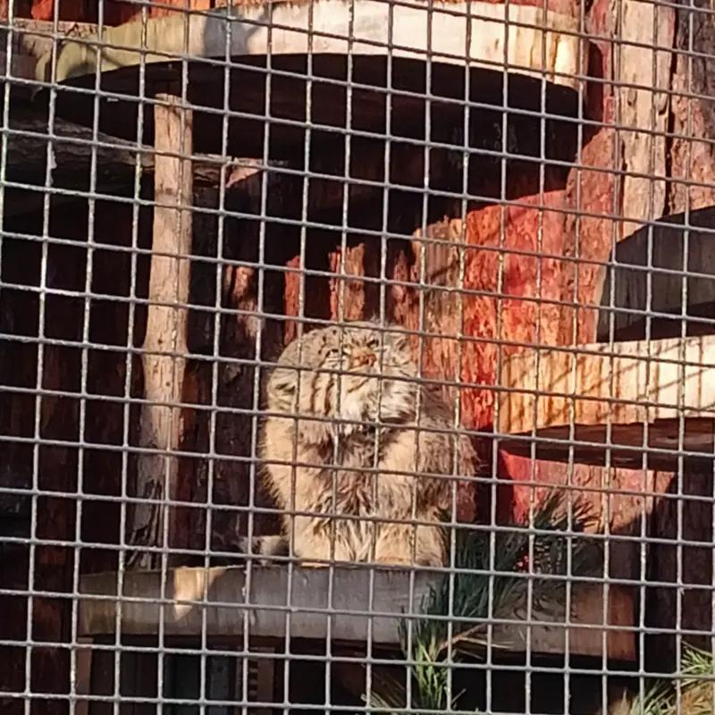 レニングラード動物園のスヴェンの写真