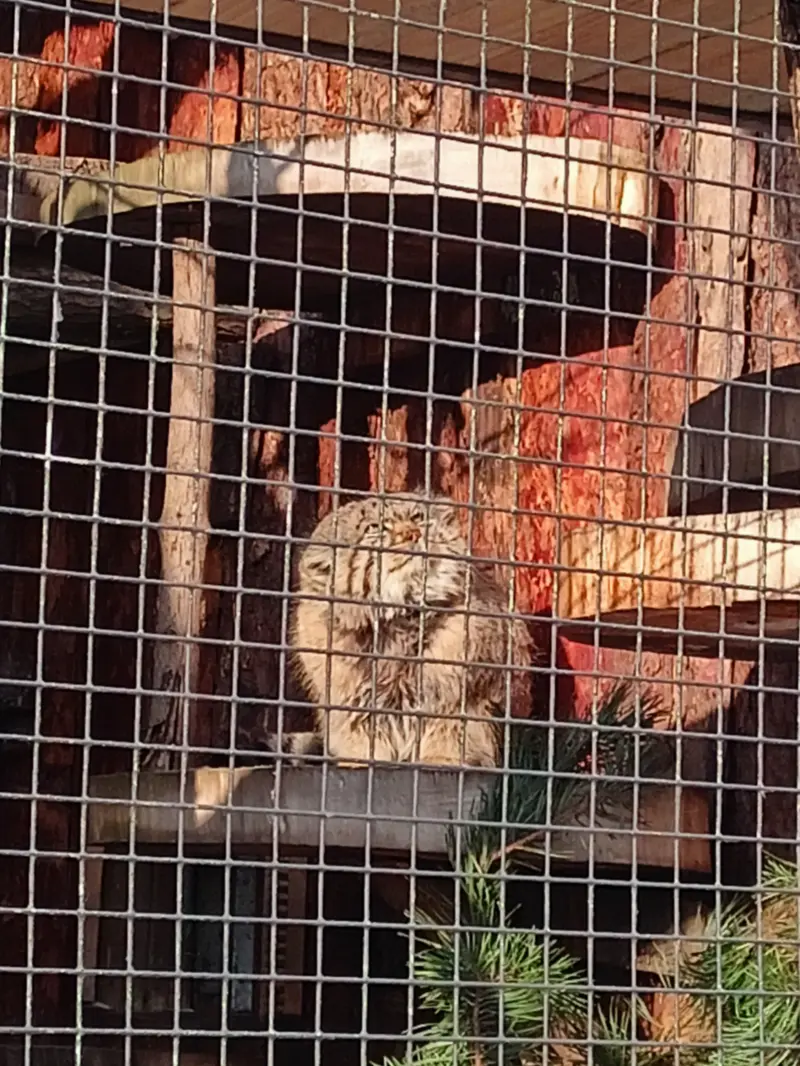 レニングラード動物園のスヴェンの写真