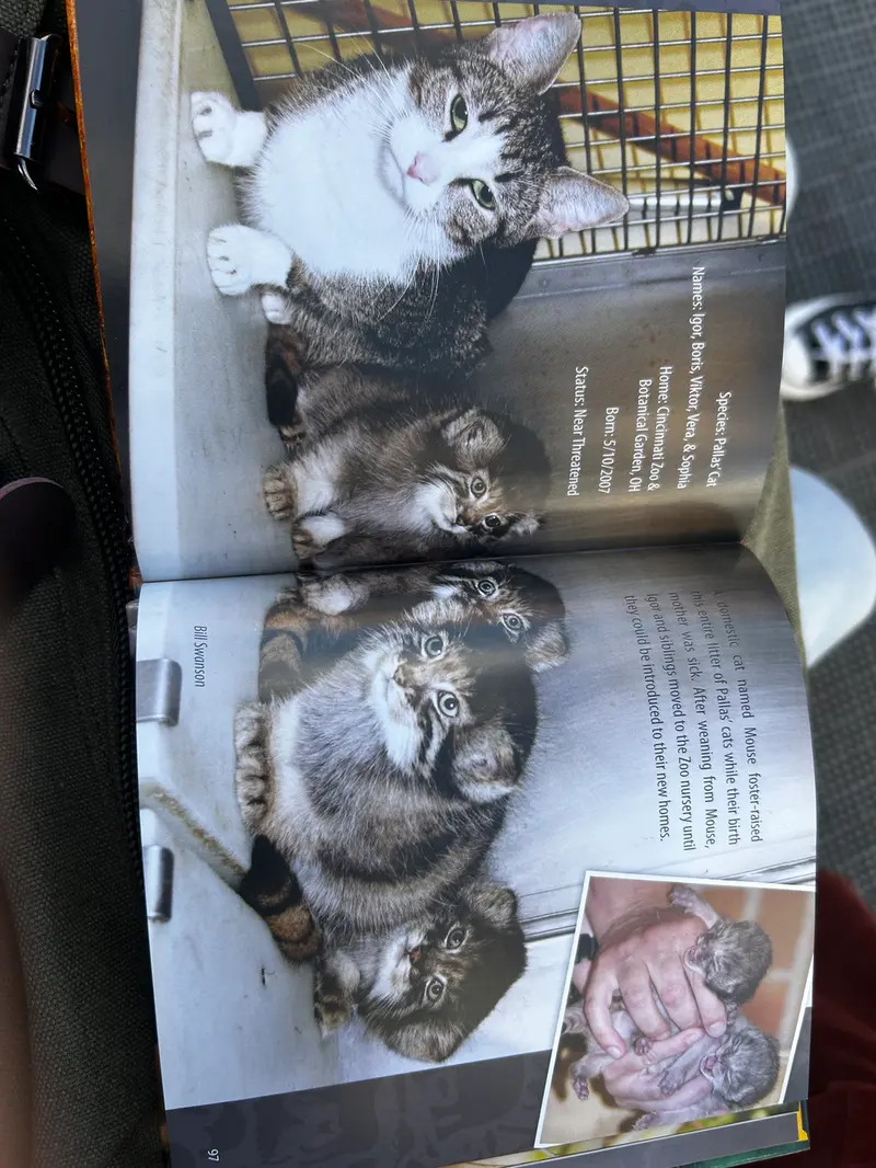 ソフィヤ、ボリス、イゴールとヴェラの写真