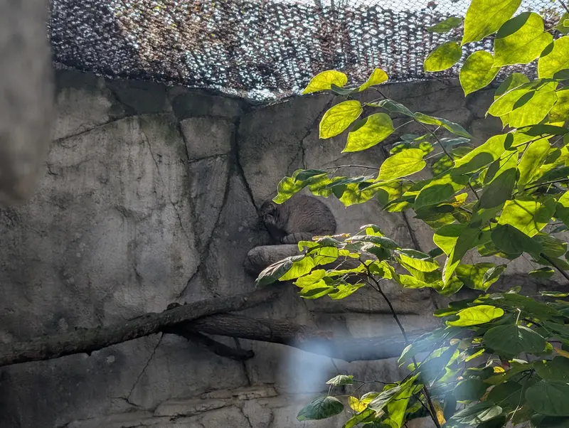 コロンバス動物園・水族館のティーナの写真