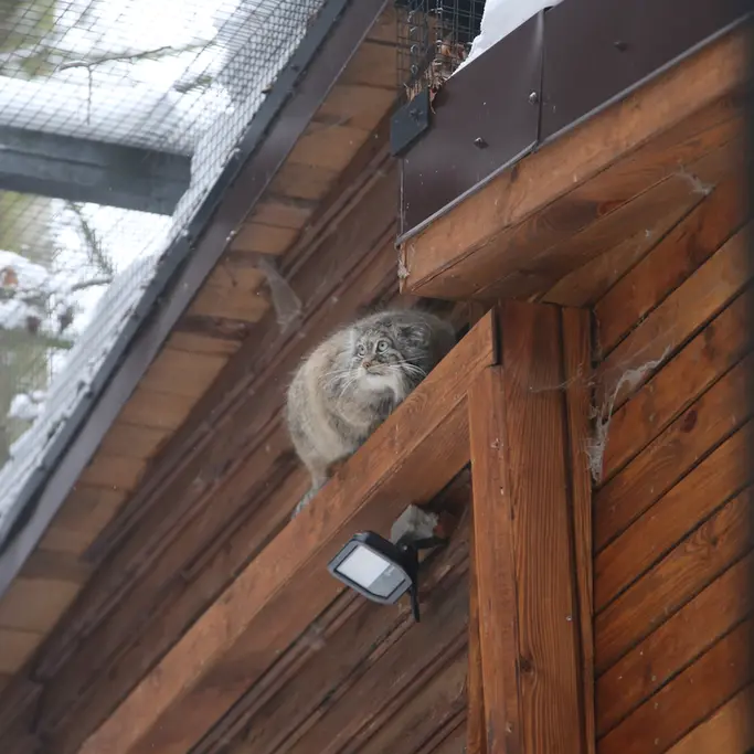 グダニスク動物園のウラの写真