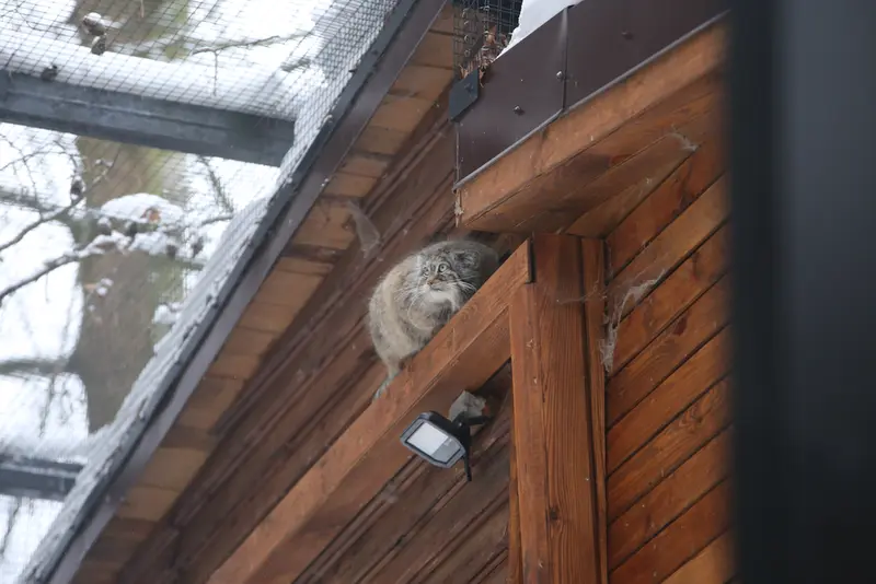 グダニスク動物園のウラの写真