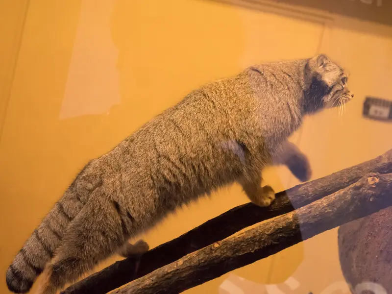埼玉県こども動物自然公園のオトの写真