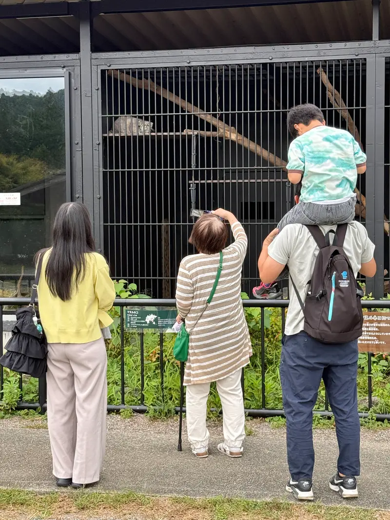ごかつら池どうぶつパークのメイの写真