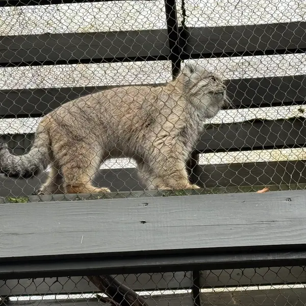 プロスペクト・パーク動物園のバトゥの写真