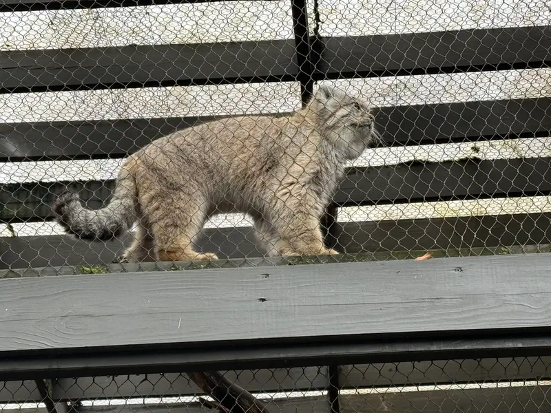 プロスペクト・パーク動物園のバトゥの写真