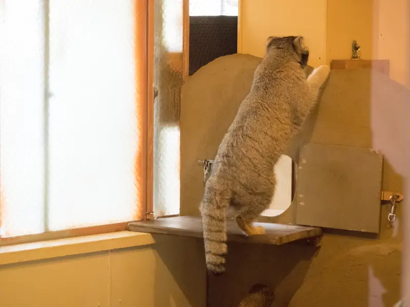 埼玉県こども動物自然公園のオトの写真
