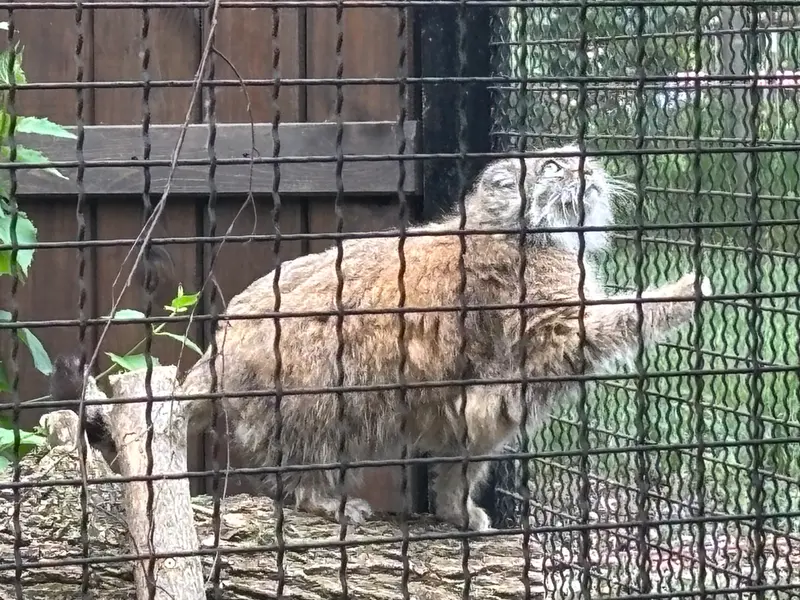 ワルシャワ動物園のジェシーの写真
