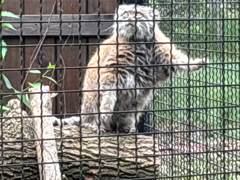 ワルシャワ動物園のジェシーの写真