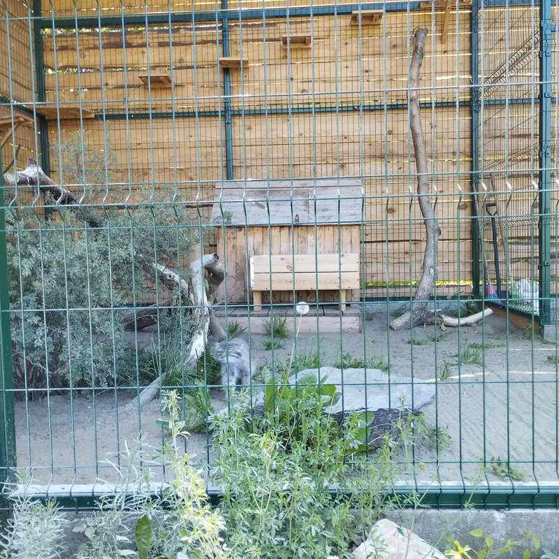 バルナウル動物園「レースナヤ・スカースカ」のペペの写真