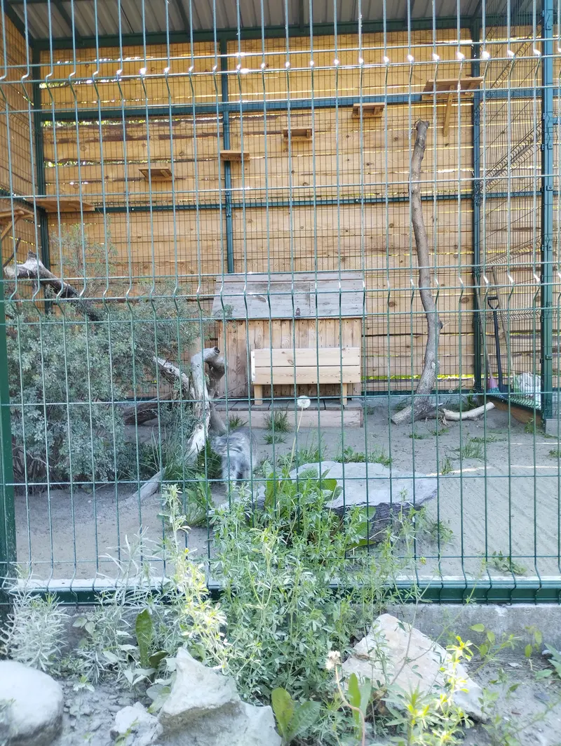 バルナウル動物園「レースナヤ・スカースカ」のペペの写真