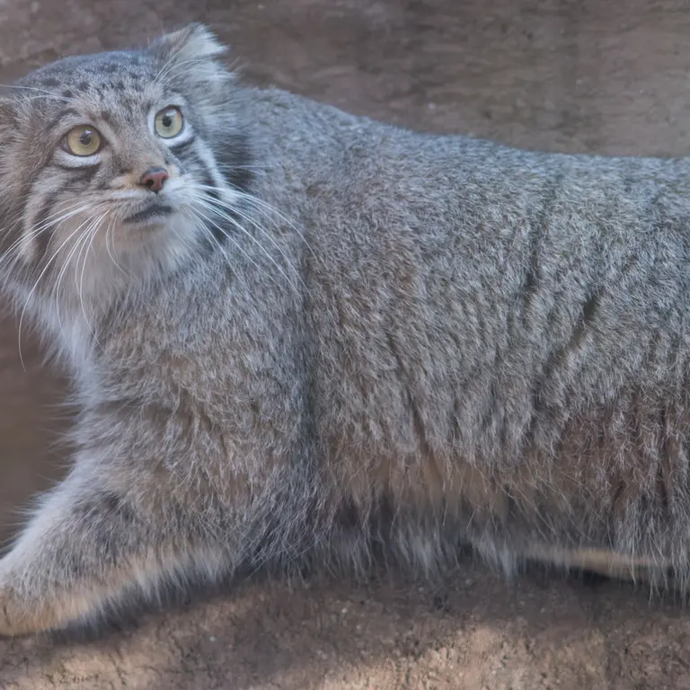 埼玉県こども動物自然公園のオトの写真