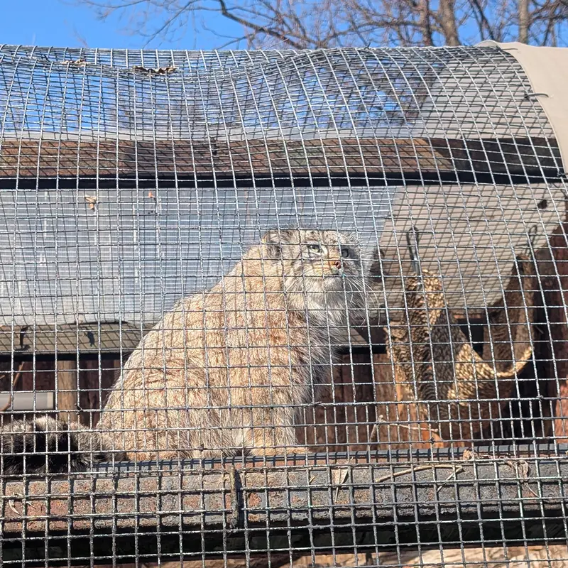 レニングラード動物園のペペの写真