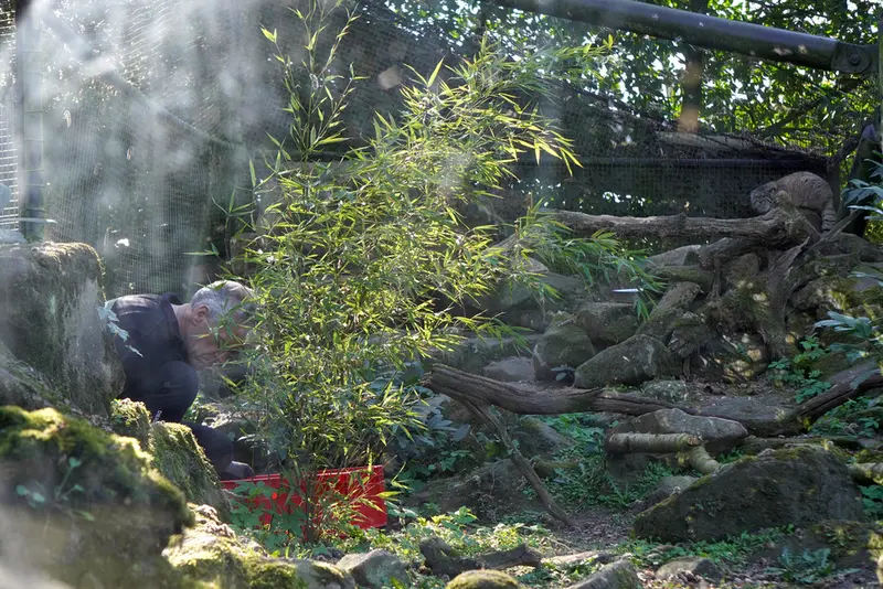 ロッテルダム動物園のノルブの写真