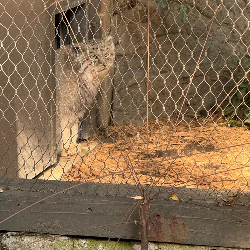 プロスペクト・パーク動物園のバトゥの写真