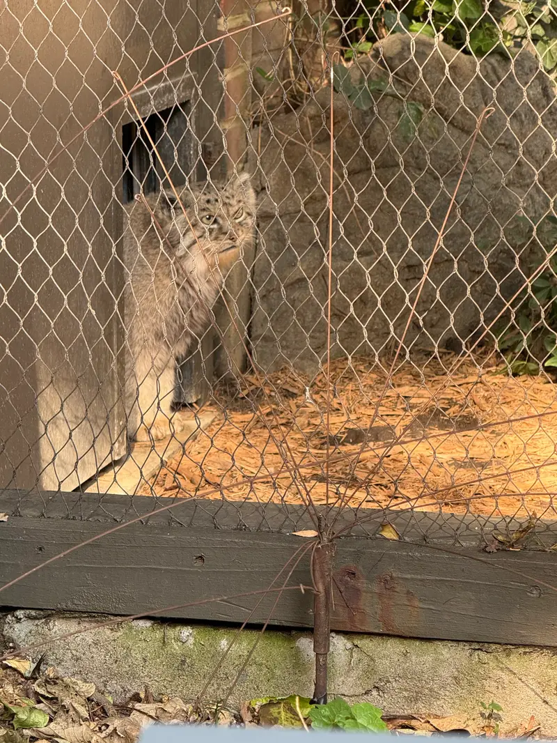 プロスペクト・パーク動物園のバトゥの写真