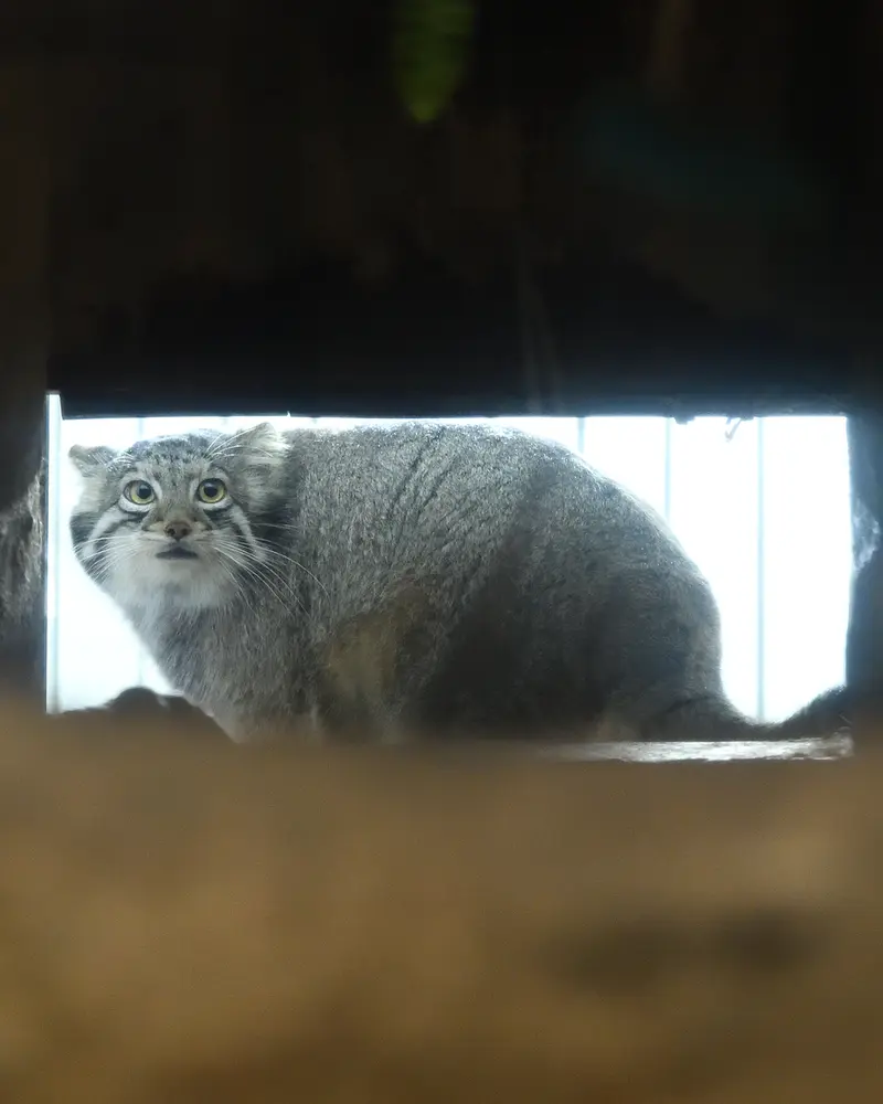 神戸どうぶつ王国のオトの写真