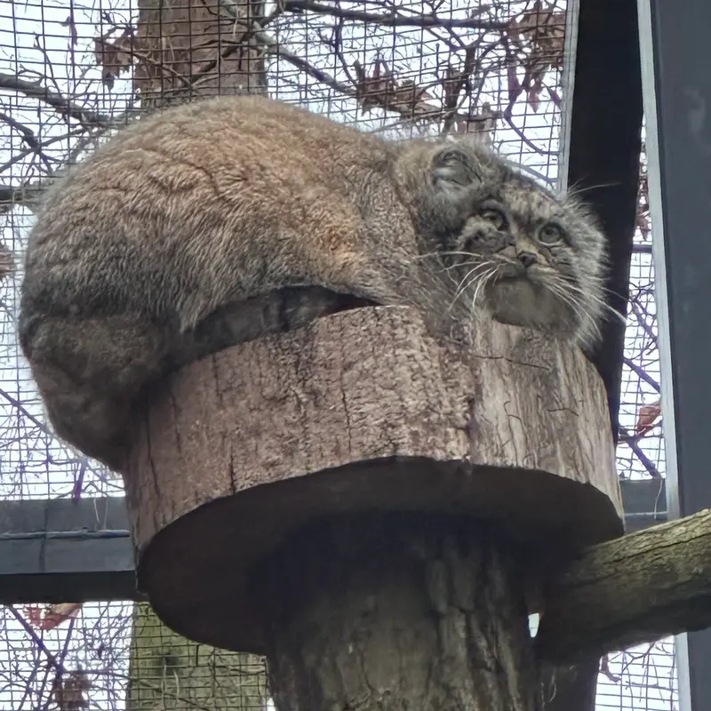 グダニスク動物園のウラの写真
