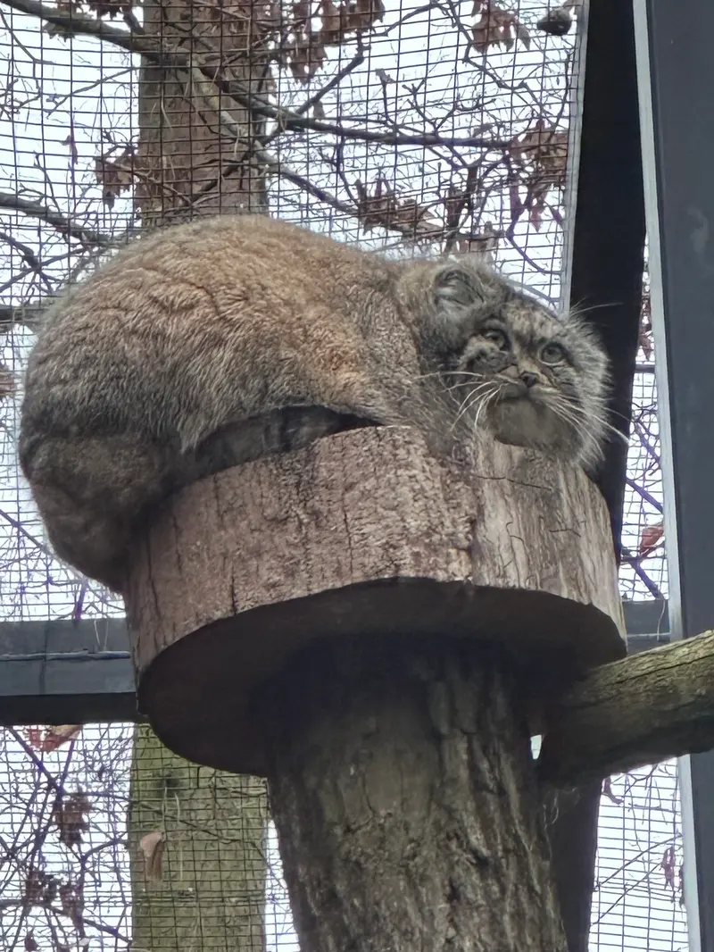 グダニスク動物園のウラの写真