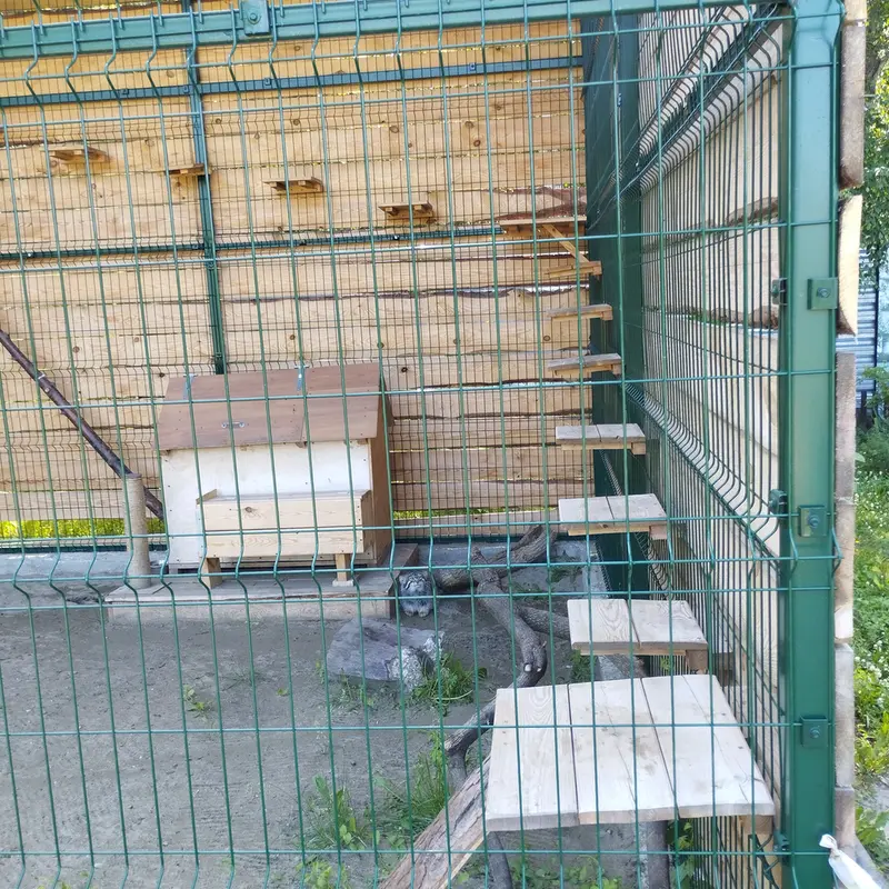 バルナウル動物園「レースナヤ・スカースカ」のチップの写真