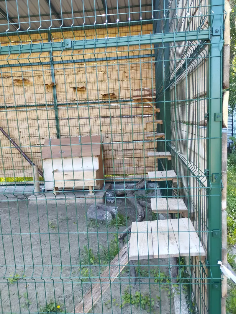 バルナウル動物園「レースナヤ・スカースカ」のチップの写真