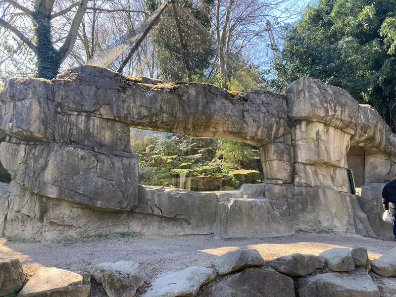 ロッテルダム動物園のマヌルネコの写真