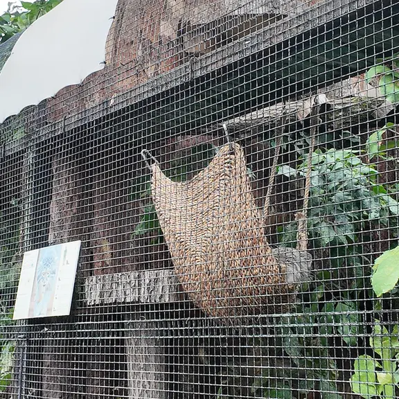 レニングラード動物園のシューの写真
