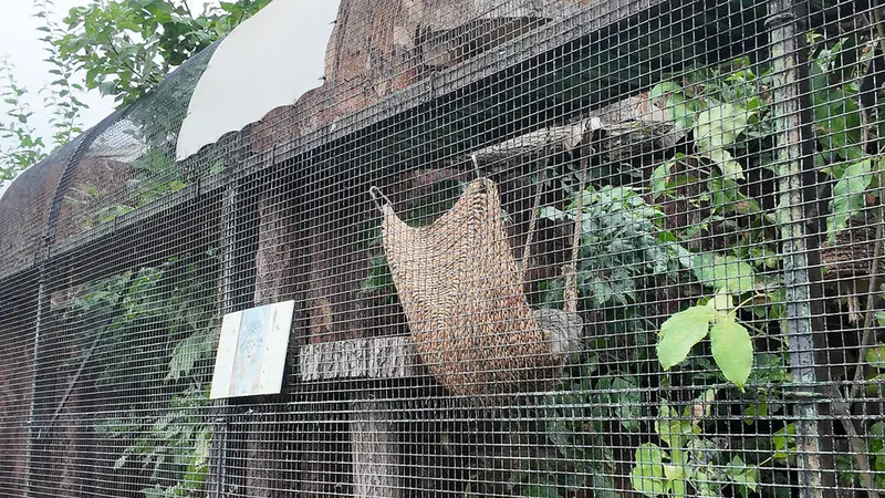 レニングラード動物園のシューの写真