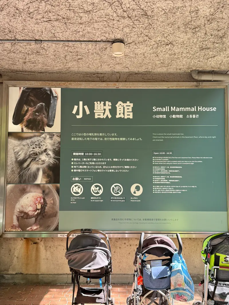 恩賜上野動物園のクリョンの写真