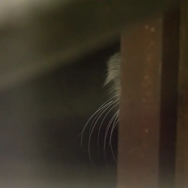 恩賜上野動物園のサフランの写真