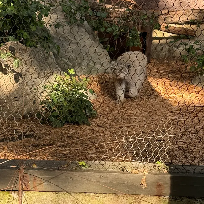 プロスペクト・パーク動物園のバトゥの写真