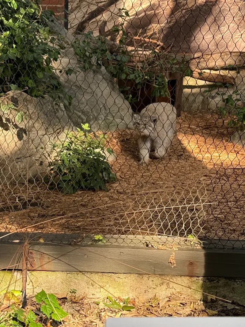 プロスペクト・パーク動物園のバトゥの写真
