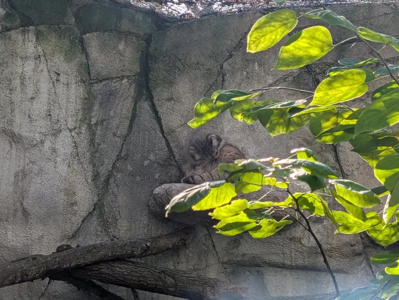 コロンバス動物園・水族館のティーナの写真
