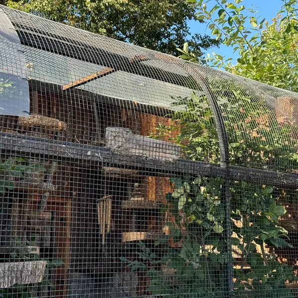 レニングラード動物園のシューの写真