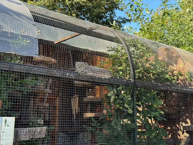 レニングラード動物園のシューの写真