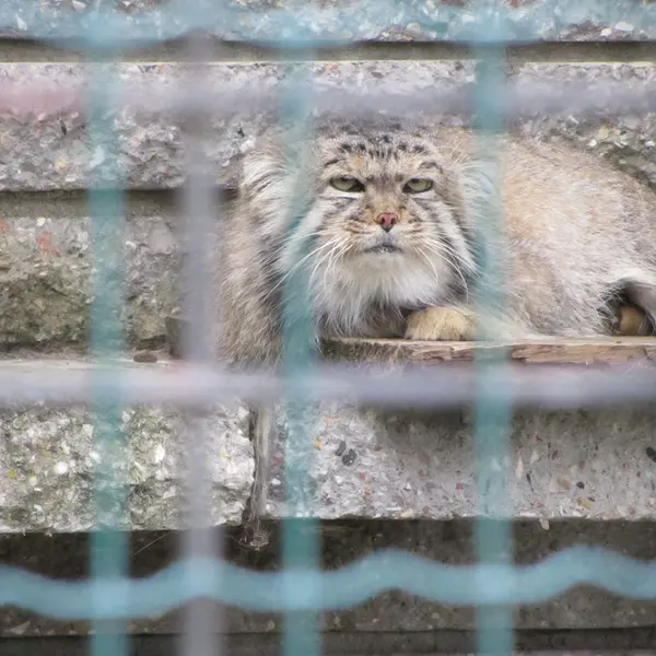 マクデブルク動物園のジョナサンの写真