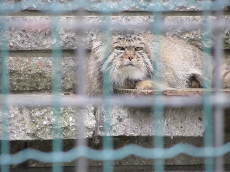 マクデブルク動物園のジョナサンの写真