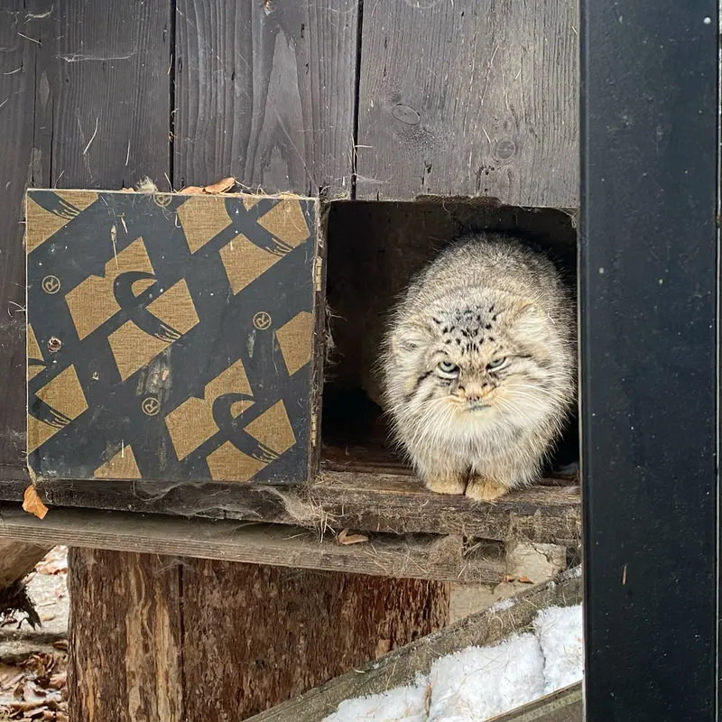 クラクフ動物園のマヌエルの写真